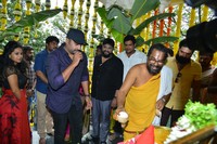 Sree Vishnu New Movie Opening